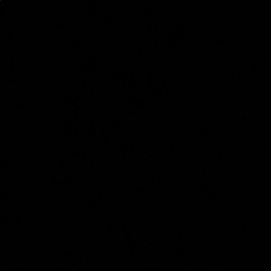 Meet your Posher, Kari